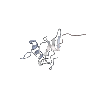 21635_6wdg_X_v1-2
Cryo-EM of elongating ribosome with EF-Tu*GTP elucidates tRNA proofreading (Cognate Structure VI-B)