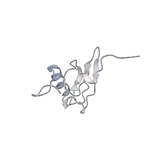 21635_6wdg_X_v2-0
Cryo-EM of elongating ribosome with EF-Tu*GTP elucidates tRNA proofreading (Cognate Structure VI-B)