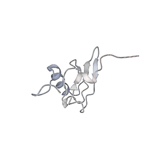 21635_6wdg_X_v2-2
Cryo-EM of elongating ribosome with EF-Tu*GTP elucidates tRNA proofreading (Cognate Structure VI-B)