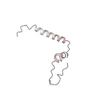 21635_6wdg_Z_v1-2
Cryo-EM of elongating ribosome with EF-Tu*GTP elucidates tRNA proofreading (Cognate Structure VI-B)