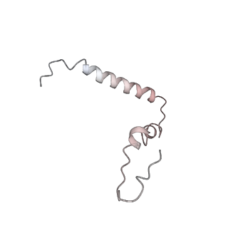 21635_6wdg_Z_v2-2
Cryo-EM of elongating ribosome with EF-Tu*GTP elucidates tRNA proofreading (Cognate Structure VI-B)