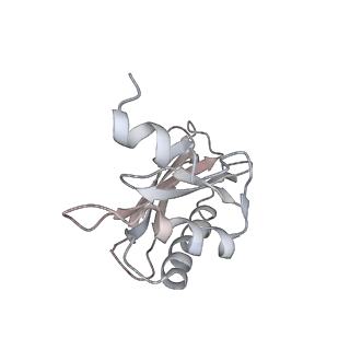 21635_6wdg_a_v1-2
Cryo-EM of elongating ribosome with EF-Tu*GTP elucidates tRNA proofreading (Cognate Structure VI-B)