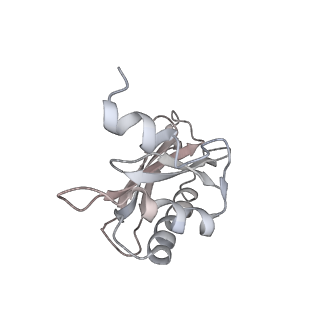 21635_6wdg_a_v2-0
Cryo-EM of elongating ribosome with EF-Tu*GTP elucidates tRNA proofreading (Cognate Structure VI-B)