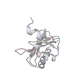 21635_6wdg_a_v2-2
Cryo-EM of elongating ribosome with EF-Tu*GTP elucidates tRNA proofreading (Cognate Structure VI-B)