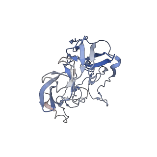 21635_6wdg_b_v2-2
Cryo-EM of elongating ribosome with EF-Tu*GTP elucidates tRNA proofreading (Cognate Structure VI-B)