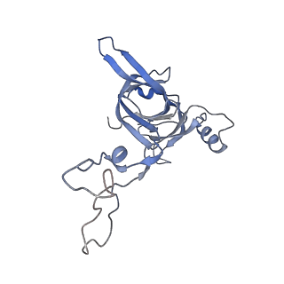 21635_6wdg_c_v2-2
Cryo-EM of elongating ribosome with EF-Tu*GTP elucidates tRNA proofreading (Cognate Structure VI-B)