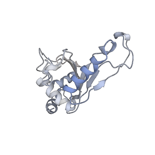 21635_6wdg_e_v1-2
Cryo-EM of elongating ribosome with EF-Tu*GTP elucidates tRNA proofreading (Cognate Structure VI-B)
