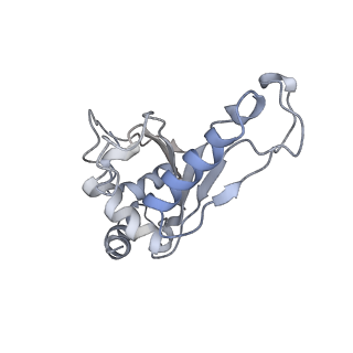 21635_6wdg_e_v2-2
Cryo-EM of elongating ribosome with EF-Tu*GTP elucidates tRNA proofreading (Cognate Structure VI-B)