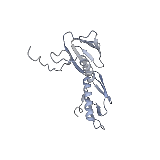 21635_6wdg_f_v1-2
Cryo-EM of elongating ribosome with EF-Tu*GTP elucidates tRNA proofreading (Cognate Structure VI-B)