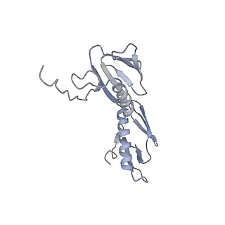 21635_6wdg_f_v2-2
Cryo-EM of elongating ribosome with EF-Tu*GTP elucidates tRNA proofreading (Cognate Structure VI-B)