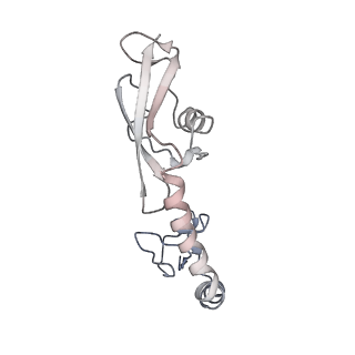 21635_6wdg_g_v1-2
Cryo-EM of elongating ribosome with EF-Tu*GTP elucidates tRNA proofreading (Cognate Structure VI-B)