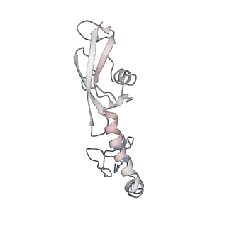 21635_6wdg_g_v2-0
Cryo-EM of elongating ribosome with EF-Tu*GTP elucidates tRNA proofreading (Cognate Structure VI-B)