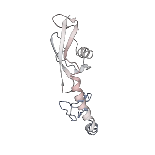 21635_6wdg_g_v2-2
Cryo-EM of elongating ribosome with EF-Tu*GTP elucidates tRNA proofreading (Cognate Structure VI-B)