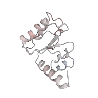 21635_6wdg_h_v1-2
Cryo-EM of elongating ribosome with EF-Tu*GTP elucidates tRNA proofreading (Cognate Structure VI-B)