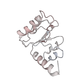21635_6wdg_h_v2-0
Cryo-EM of elongating ribosome with EF-Tu*GTP elucidates tRNA proofreading (Cognate Structure VI-B)