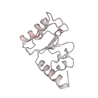 21635_6wdg_h_v2-2
Cryo-EM of elongating ribosome with EF-Tu*GTP elucidates tRNA proofreading (Cognate Structure VI-B)