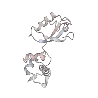 21635_6wdg_i_v1-2
Cryo-EM of elongating ribosome with EF-Tu*GTP elucidates tRNA proofreading (Cognate Structure VI-B)