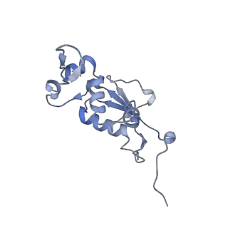 21635_6wdg_j_v1-2
Cryo-EM of elongating ribosome with EF-Tu*GTP elucidates tRNA proofreading (Cognate Structure VI-B)