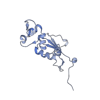 21635_6wdg_j_v2-2
Cryo-EM of elongating ribosome with EF-Tu*GTP elucidates tRNA proofreading (Cognate Structure VI-B)