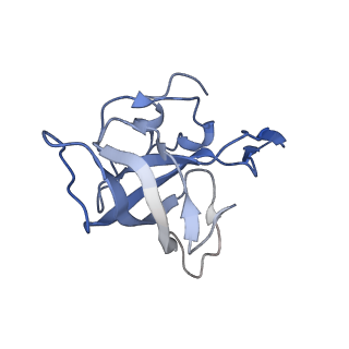21635_6wdg_k_v1-2
Cryo-EM of elongating ribosome with EF-Tu*GTP elucidates tRNA proofreading (Cognate Structure VI-B)