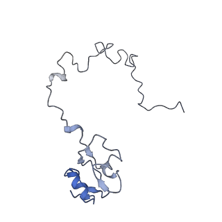 21635_6wdg_l_v1-2
Cryo-EM of elongating ribosome with EF-Tu*GTP elucidates tRNA proofreading (Cognate Structure VI-B)
