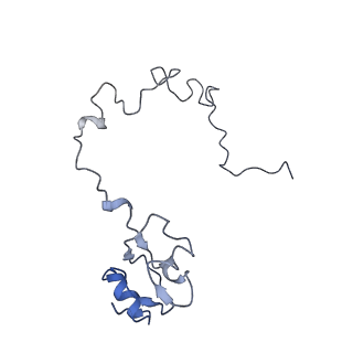 21635_6wdg_l_v2-2
Cryo-EM of elongating ribosome with EF-Tu*GTP elucidates tRNA proofreading (Cognate Structure VI-B)