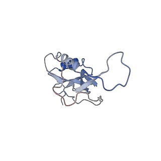 21635_6wdg_m_v1-2
Cryo-EM of elongating ribosome with EF-Tu*GTP elucidates tRNA proofreading (Cognate Structure VI-B)