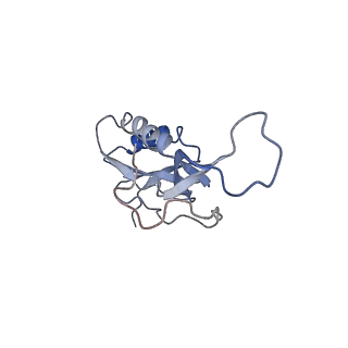 21635_6wdg_m_v2-0
Cryo-EM of elongating ribosome with EF-Tu*GTP elucidates tRNA proofreading (Cognate Structure VI-B)