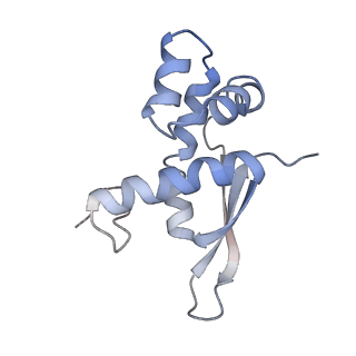 21635_6wdg_n_v1-2
Cryo-EM of elongating ribosome with EF-Tu*GTP elucidates tRNA proofreading (Cognate Structure VI-B)