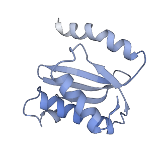 21635_6wdg_o_v1-2
Cryo-EM of elongating ribosome with EF-Tu*GTP elucidates tRNA proofreading (Cognate Structure VI-B)