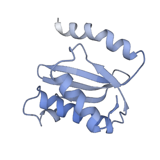 21635_6wdg_o_v2-2
Cryo-EM of elongating ribosome with EF-Tu*GTP elucidates tRNA proofreading (Cognate Structure VI-B)