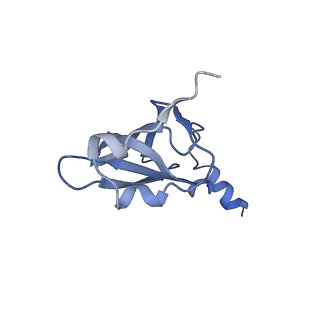 21635_6wdg_p_v1-2
Cryo-EM of elongating ribosome with EF-Tu*GTP elucidates tRNA proofreading (Cognate Structure VI-B)
