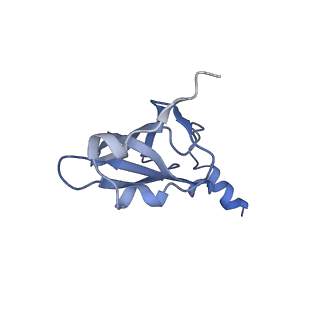 21635_6wdg_p_v2-2
Cryo-EM of elongating ribosome with EF-Tu*GTP elucidates tRNA proofreading (Cognate Structure VI-B)