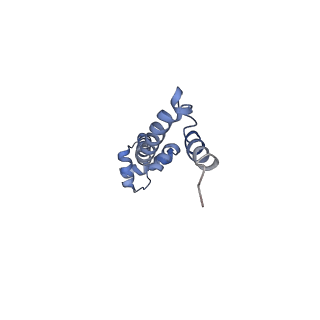 21635_6wdg_q_v2-2
Cryo-EM of elongating ribosome with EF-Tu*GTP elucidates tRNA proofreading (Cognate Structure VI-B)