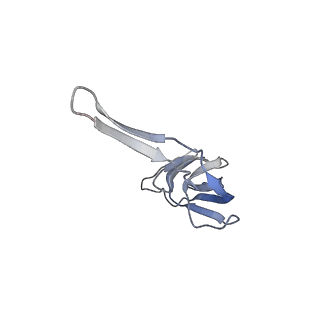 21635_6wdg_r_v1-2
Cryo-EM of elongating ribosome with EF-Tu*GTP elucidates tRNA proofreading (Cognate Structure VI-B)