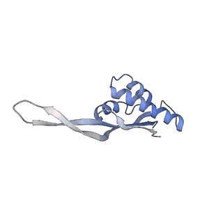 21635_6wdg_s_v1-2
Cryo-EM of elongating ribosome with EF-Tu*GTP elucidates tRNA proofreading (Cognate Structure VI-B)