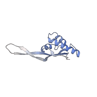 21635_6wdg_s_v2-2
Cryo-EM of elongating ribosome with EF-Tu*GTP elucidates tRNA proofreading (Cognate Structure VI-B)