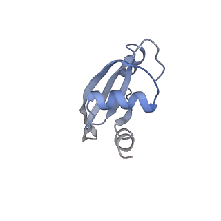 21635_6wdg_t_v1-2
Cryo-EM of elongating ribosome with EF-Tu*GTP elucidates tRNA proofreading (Cognate Structure VI-B)
