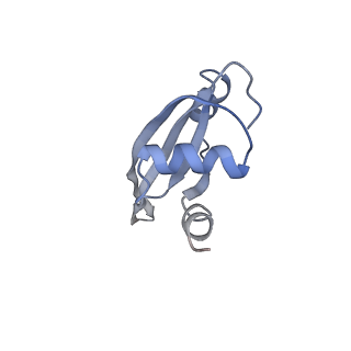 21635_6wdg_t_v2-2
Cryo-EM of elongating ribosome with EF-Tu*GTP elucidates tRNA proofreading (Cognate Structure VI-B)