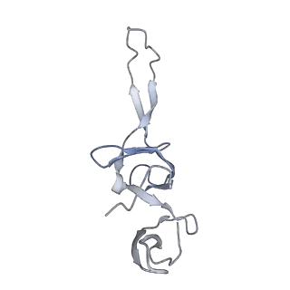 21635_6wdg_u_v1-2
Cryo-EM of elongating ribosome with EF-Tu*GTP elucidates tRNA proofreading (Cognate Structure VI-B)