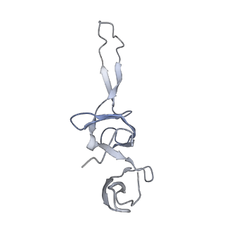 21635_6wdg_u_v2-2
Cryo-EM of elongating ribosome with EF-Tu*GTP elucidates tRNA proofreading (Cognate Structure VI-B)