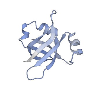 21635_6wdg_v_v1-2
Cryo-EM of elongating ribosome with EF-Tu*GTP elucidates tRNA proofreading (Cognate Structure VI-B)