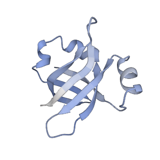 21635_6wdg_v_v2-0
Cryo-EM of elongating ribosome with EF-Tu*GTP elucidates tRNA proofreading (Cognate Structure VI-B)