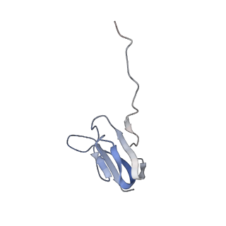 21635_6wdg_w_v2-2
Cryo-EM of elongating ribosome with EF-Tu*GTP elucidates tRNA proofreading (Cognate Structure VI-B)