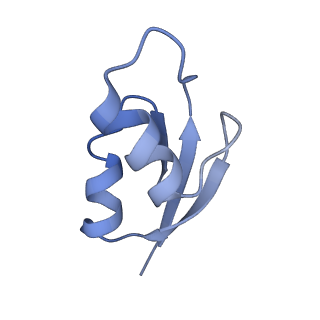 21635_6wdg_z_v1-2
Cryo-EM of elongating ribosome with EF-Tu*GTP elucidates tRNA proofreading (Cognate Structure VI-B)