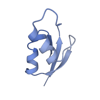 21635_6wdg_z_v2-0
Cryo-EM of elongating ribosome with EF-Tu*GTP elucidates tRNA proofreading (Cognate Structure VI-B)