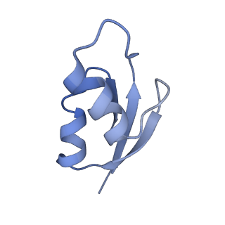 21635_6wdg_z_v2-2
Cryo-EM of elongating ribosome with EF-Tu*GTP elucidates tRNA proofreading (Cognate Structure VI-B)