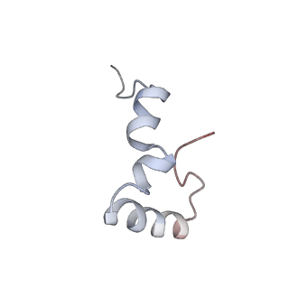21636_6wdh_D_v1-2
Cryo-EM of elongating ribosome with EF-Tu*GTP elucidates tRNA proofreading (Non-cognate Structure IV-B1)