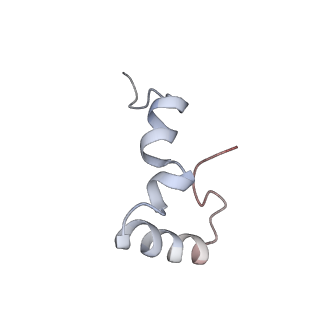 21636_6wdh_D_v1-3
Cryo-EM of elongating ribosome with EF-Tu*GTP elucidates tRNA proofreading (Non-cognate Structure IV-B1)