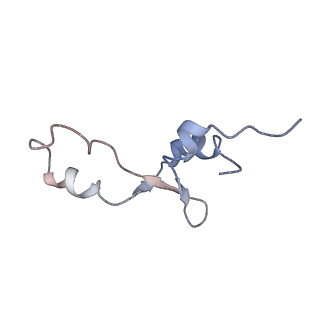 21636_6wdh_E_v1-2
Cryo-EM of elongating ribosome with EF-Tu*GTP elucidates tRNA proofreading (Non-cognate Structure IV-B1)